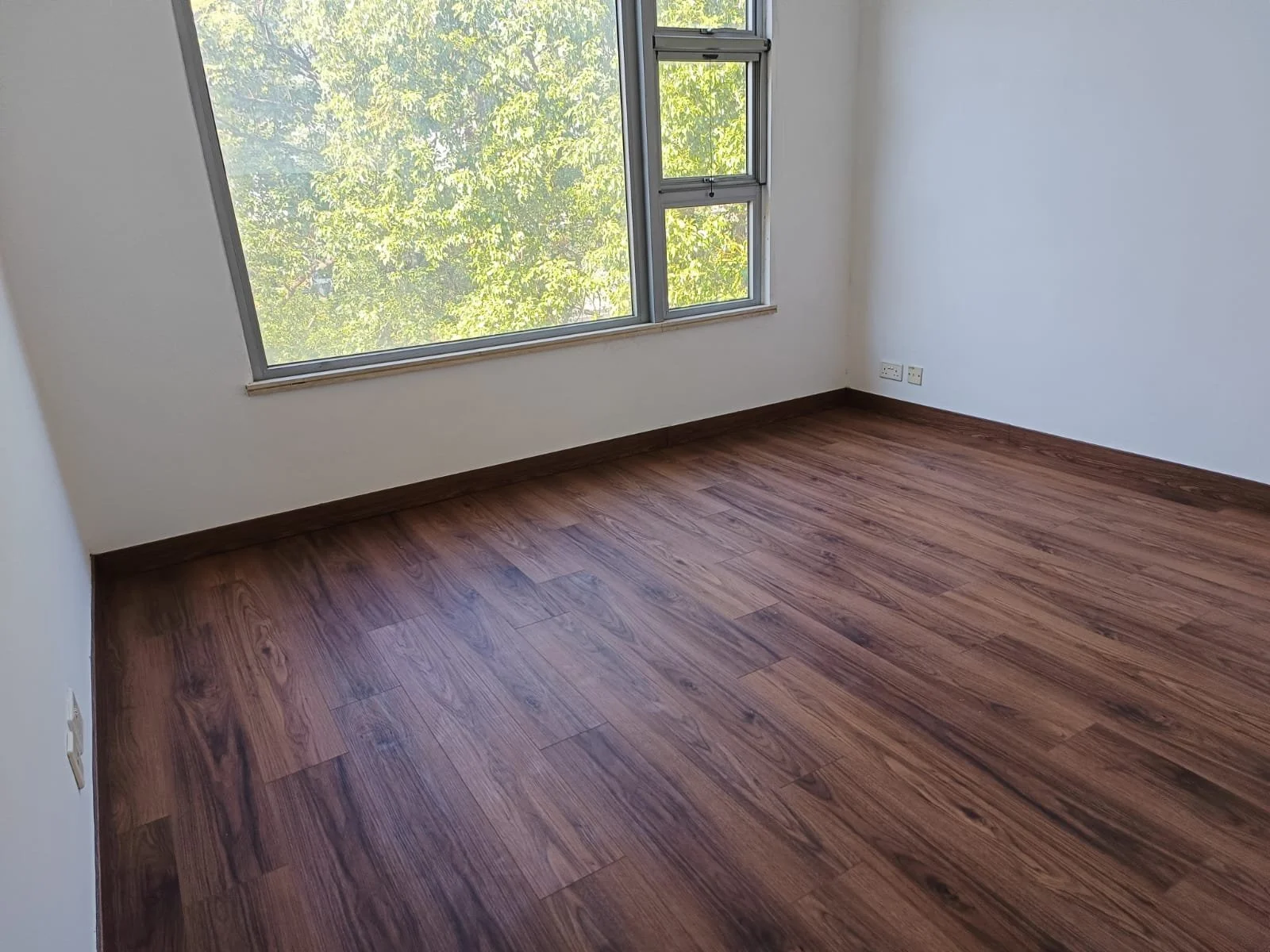 WhatsApp Image 2026-01-17 at 6.42.43 PM.jpeg