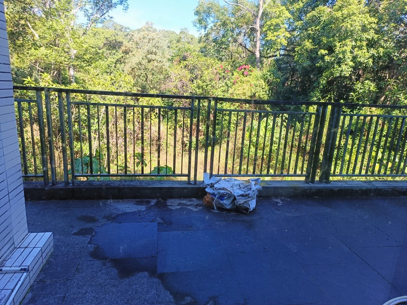 WhatsApp Image 2026-01-17 at 6.42.43 PM (2).jpeg