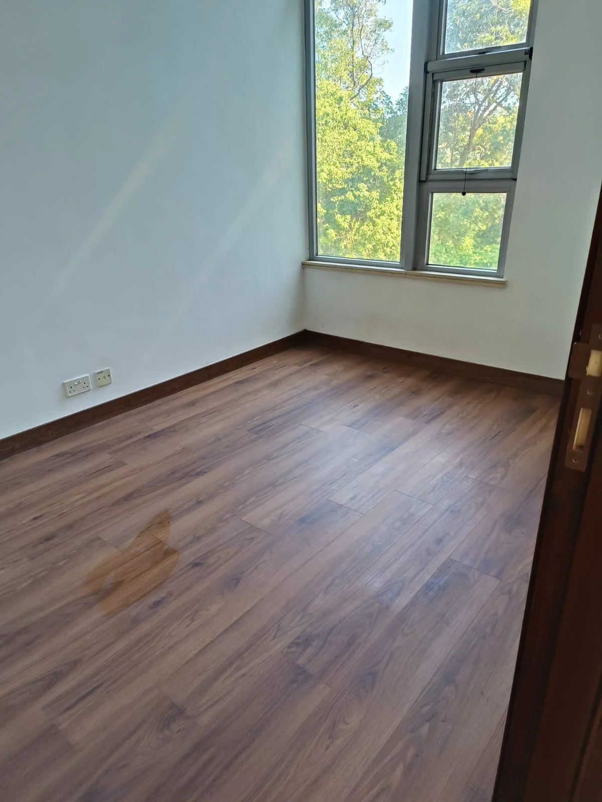 WhatsApp Image 2026-01-17 at 6.38.29 PM (3).jpeg