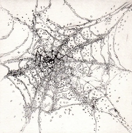 Araignée du soir… 10 x 10 cm 50€