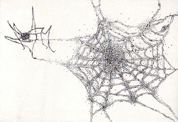 Aranea 7 x 10 cm 40€