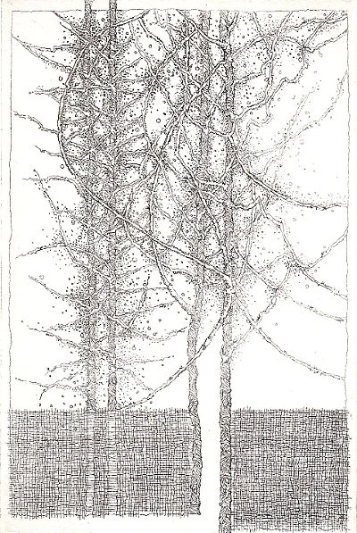 Tarlatane 10 X 15 cm 60€