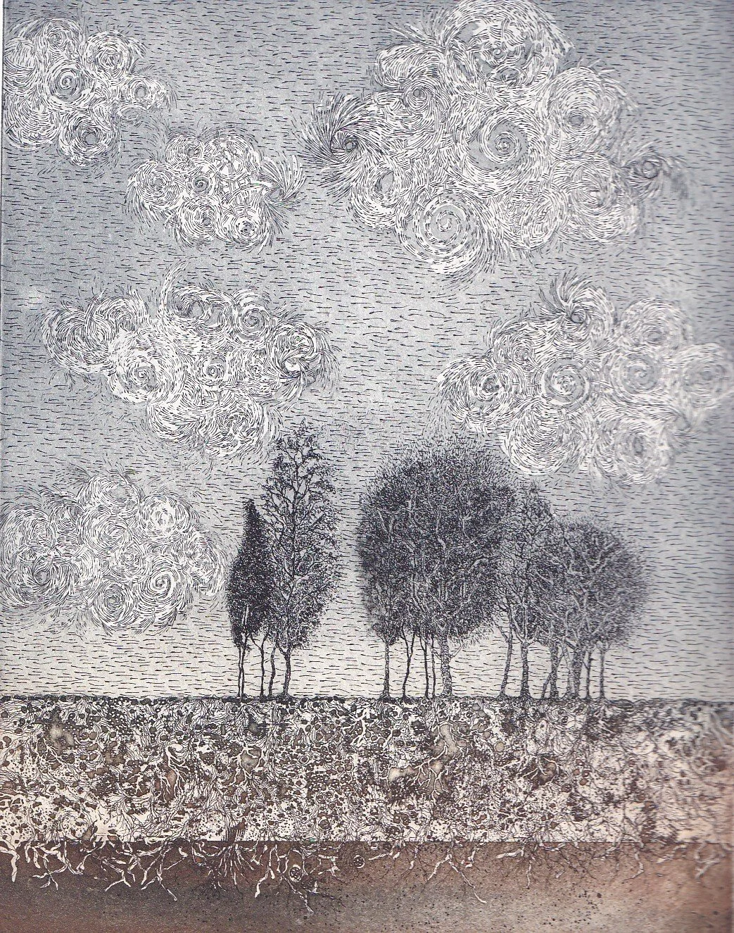  Entre ciel et terre 17 × 23 cm 90€ 