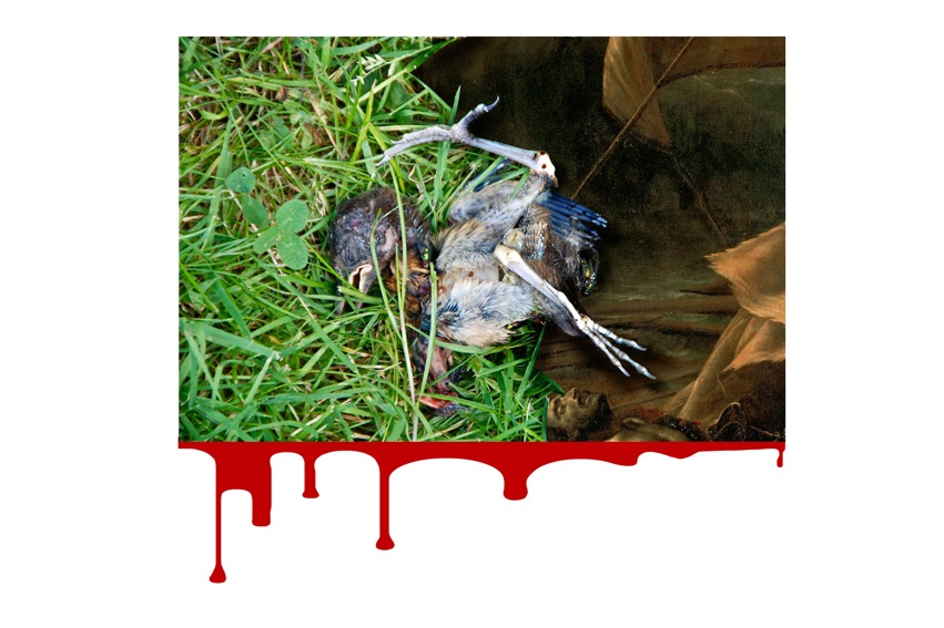 oisillon avec coulure.jpeg