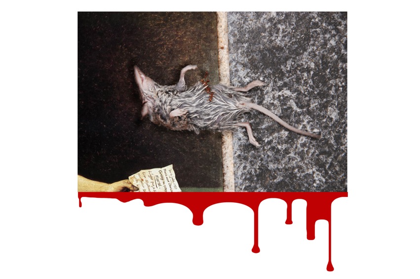 souris avec coulure fb-2.jpeg