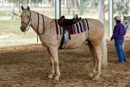 Lise, Gem & Jazz 101