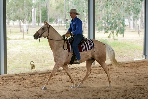 Lise, Gem & Jazz 102