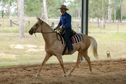 Lise, Gem & Jazz 103