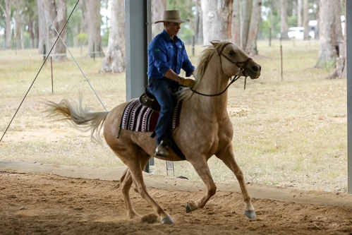 Lise, Gem & Jazz 104