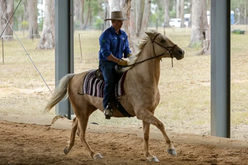 Lise, Gem & Jazz 105