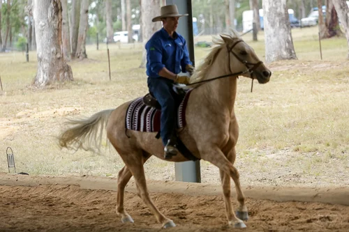 Lise, Gem & Jazz 106