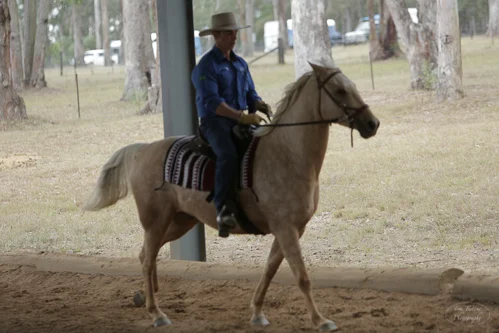 Lise, Gem & Jazz 107