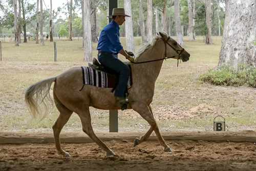 Lise, Gem & Jazz 108