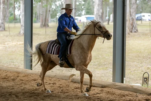 Lise, Gem & Jazz 110