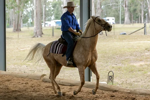 Lise, Gem & Jazz 111