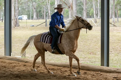 Lise, Gem & Jazz 112