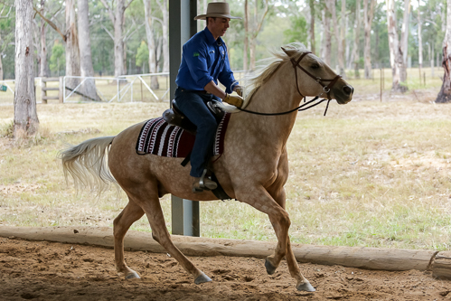 Lise, Gem & Jazz 113