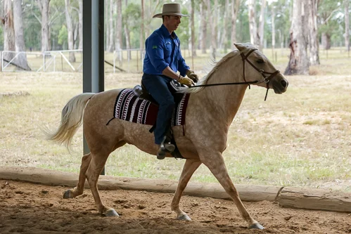 Lise, Gem & Jazz 114