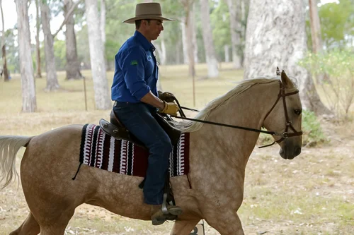 Lise, Gem & Jazz 116