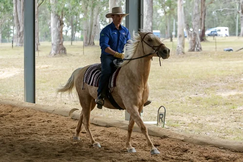 Lise, Gem & Jazz 118