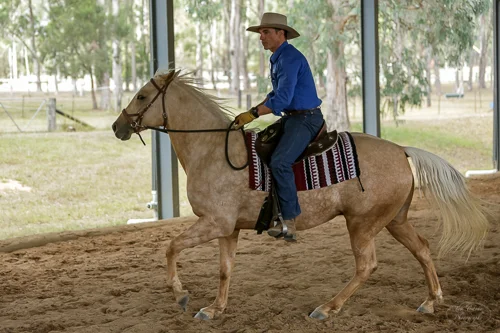 Lise, Gem & Jazz 123