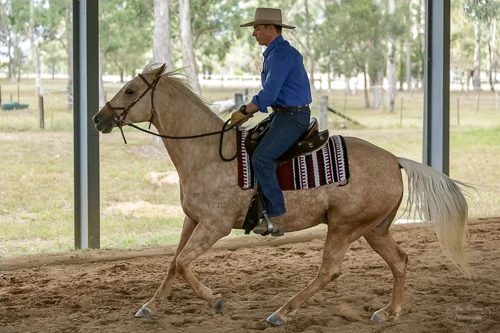 Lise, Gem & Jazz 124