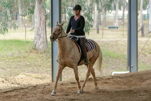 Lise, Gem & Jazz 129