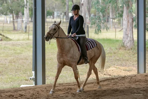 Lise, Gem & Jazz 130