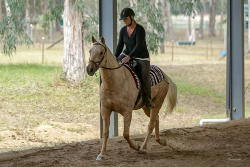 Lise, Gem & Jazz 131