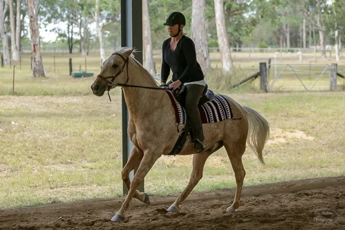 Lise, Gem & Jazz 133