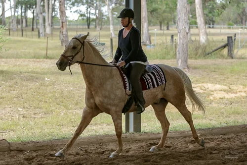 Lise, Gem & Jazz 134