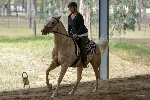 Lise, Gem & Jazz 137