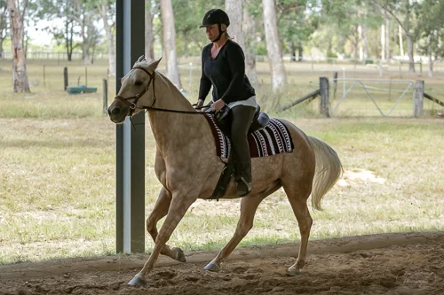 Lise, Gem & Jazz 139