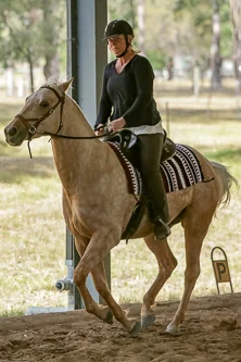 Lise, Gem & Jazz 141