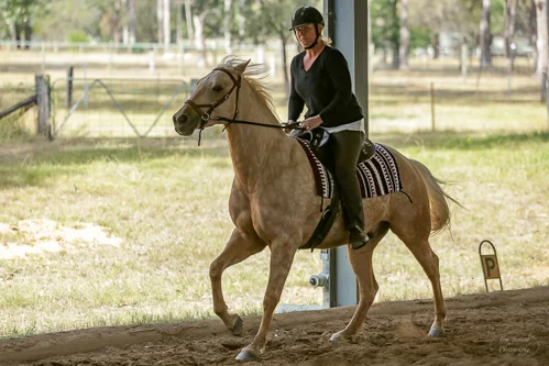 Lise, Gem & Jazz 142