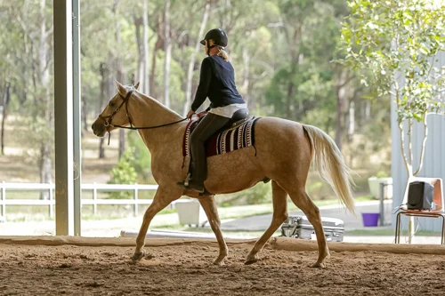 Lise, Gem & Jazz 143