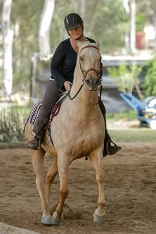 Lise, Gem & Jazz 146