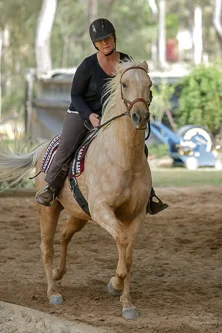 Lise, Gem & Jazz 147