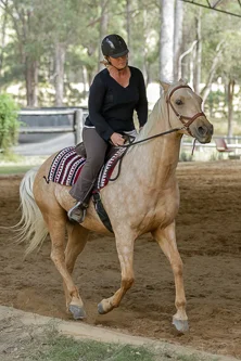 Lise, Gem & Jazz 148