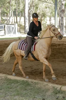 Lise, Gem & Jazz 151