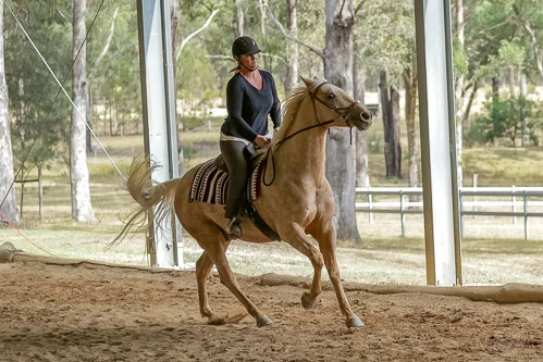 Lise, Gem & Jazz 152