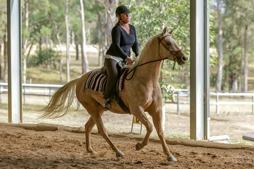 Lise, Gem & Jazz 153