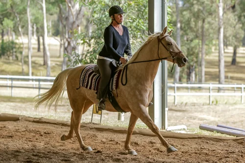 Lise, Gem & Jazz 154