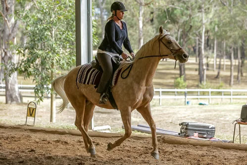 Lise, Gem & Jazz 155