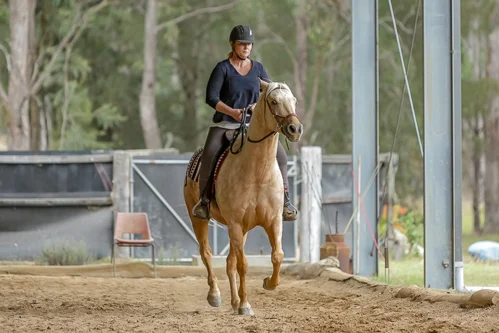 Lise, Gem & Jazz 156