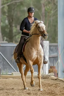 Lise, Gem & Jazz 157