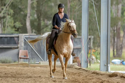 Lise, Gem & Jazz 158