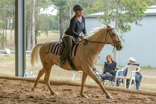 Lise, Gem & Jazz 163