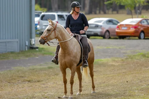 Lise, Gem & Jazz 165