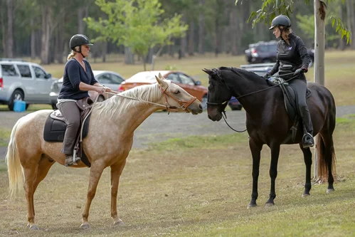 Lise, Gem & Jazz 166